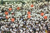 Torcida do Vasco