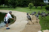 Presidente alimenta Emas no Pal�cio da Alvorada. Bras�lia, 6 de mar�o de 2003