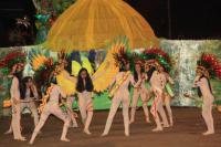 Desfile do Bloco Cruz de Malta, em Parintins (AM)