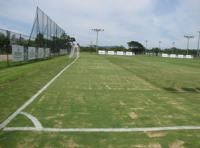 Falhas no gramado, principalmente na linha de fundo