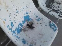 Parque Aqutico em dezembro de 2012