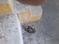 Parque Aqutico em dezembro de 2012