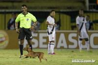 Cachorro que invadiu campo