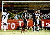 Cachorro que invadiu campo