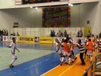 Os jogadores vibraram muito com o gol da vitria