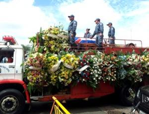 Coroas de flores para Bellini