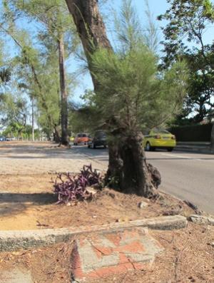 Lpide com uma cruz de malta e o nome de Dener na rvore na Lagoa onde aconteceu a batida do carro onde estava o jogador, em 94.