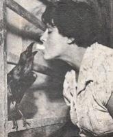 Ovos cozidos, o prato favorito