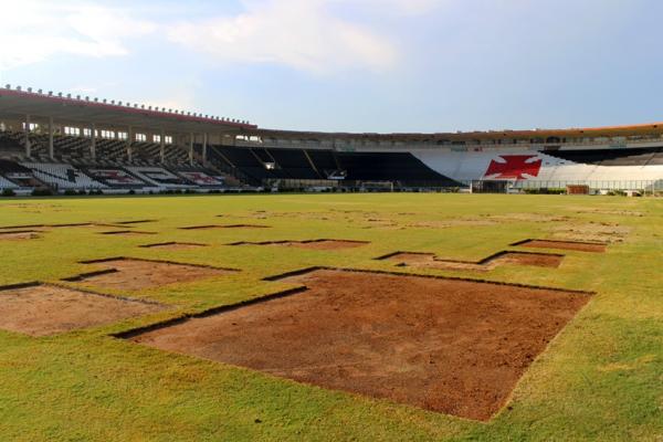 Alguns pedaos do gramado foram removidos para o tratamento