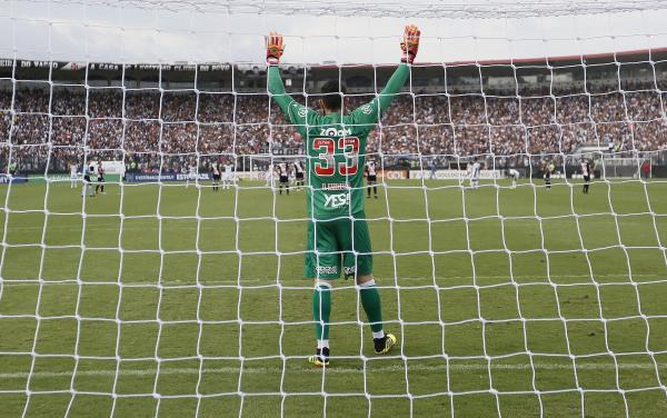 Fernando terminou a temporada em alta na Colina