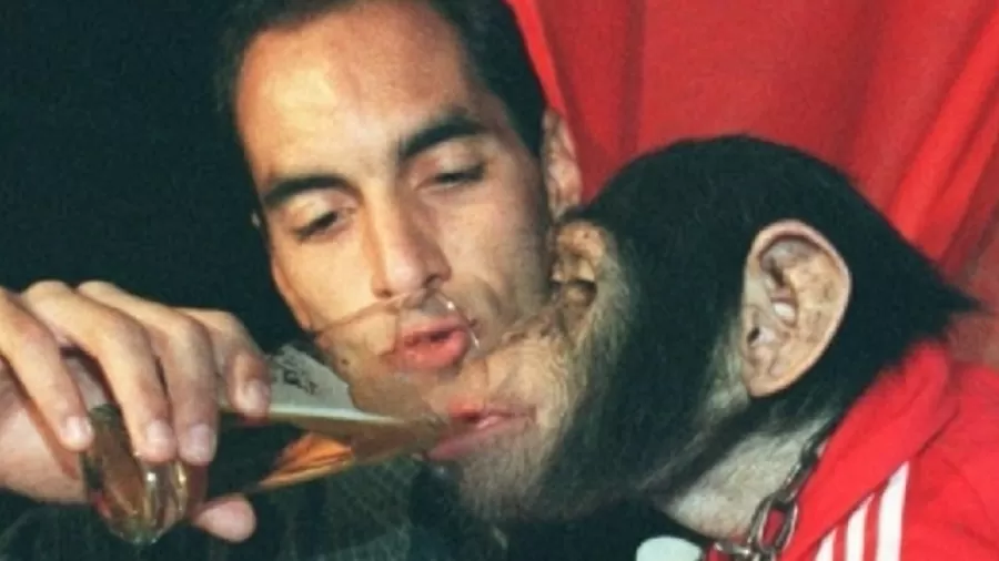 Em 1999, Edmundo se envolveu em polêmica ao oferecer cerveja a um chimpanzé durante uma festa