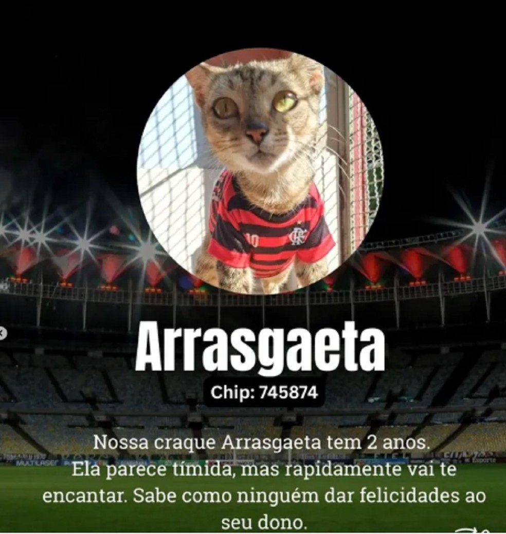 Canil Municipal de Juiz de Fora batiza animais com nomes de jogadores - Arrasgaeta (De Arrascaeta, Flamengo) — Foto: Canil Municipal de Juiz de Fora/Divulgação