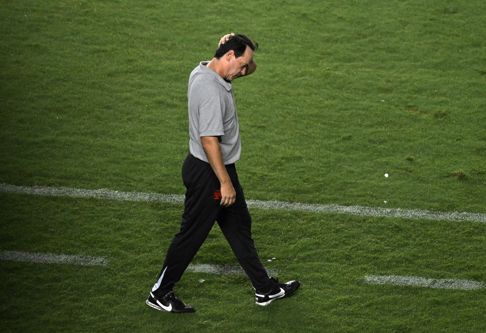 Fernando Diniz em Vasco x Chapecoense — Foto: André Durão